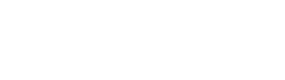 Roydisa